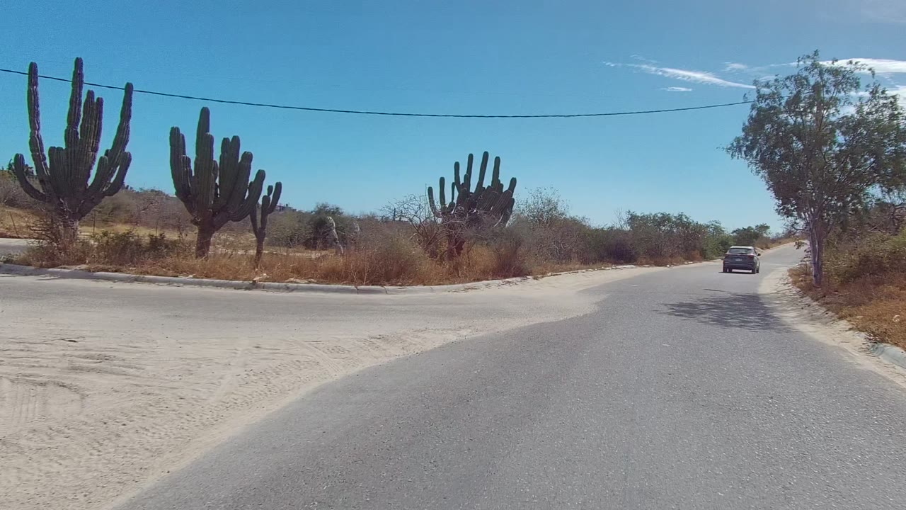 A forward-facing East Cape Los Cabos road frame shows tall roadside cacti, dry grasses, a dark car ahead on the right side of the lane, sandy ground, and no visible people.