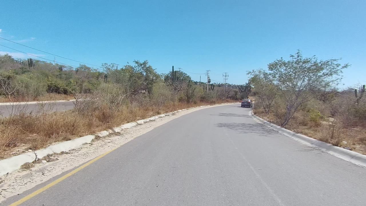 A gray paved road in East Cape Los Cabos runs through sparse desert vegetation, with dry grasses on both shoulders, utility lines in the background, and no visible people.