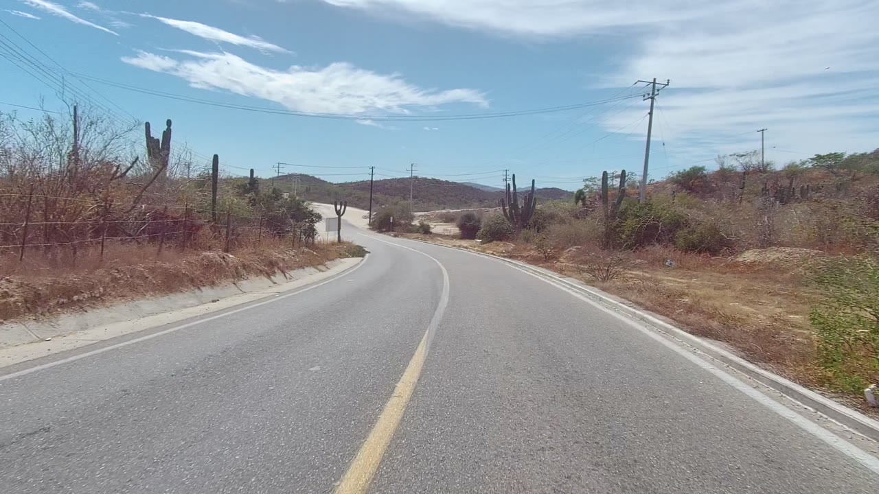 Start of an East Cape Los Cabos road view with a curving paved lane, sandy shoulders, tall cacti, utility poles, low hills, blue sky, and no visible people.