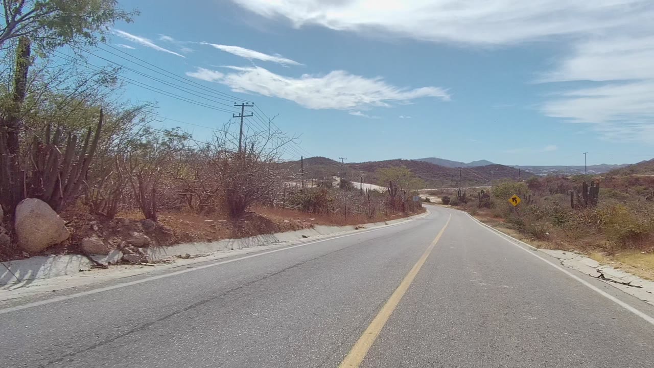 Curving road bordered by cactus, rocks, and dry vegetation