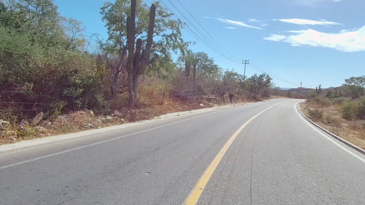 Road-level view in East Cape Los Cabos, Baja California Sur, with a paved road curving right past dry brush, tall cactus, utility poles, blue sky, and no visible people.