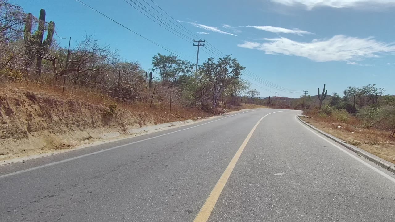 Road-level East Cape Los Cabos view with the yellow center line leading into a right curve, dry shoulder vegetation, cacti on both sides, utility poles, and no visible people.