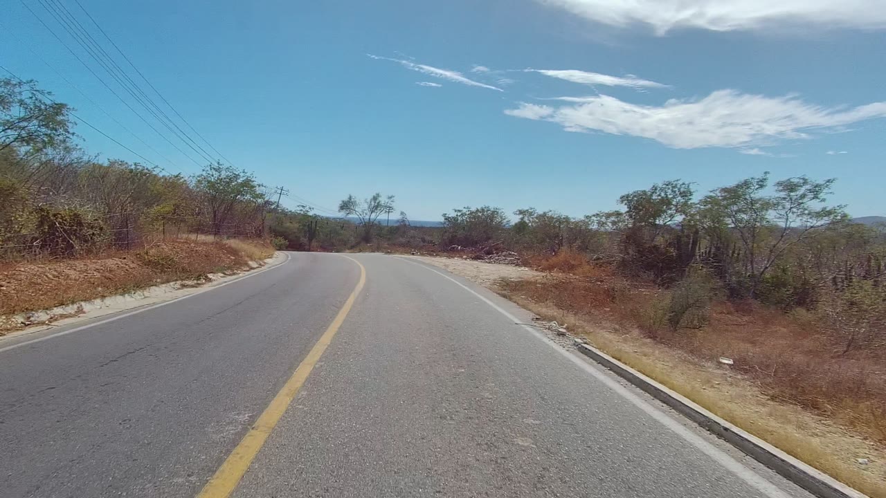 A paved rural road in East Cape Los Cabos curves ahead through dry brush and sparse trees, with power lines at left and no visible people.