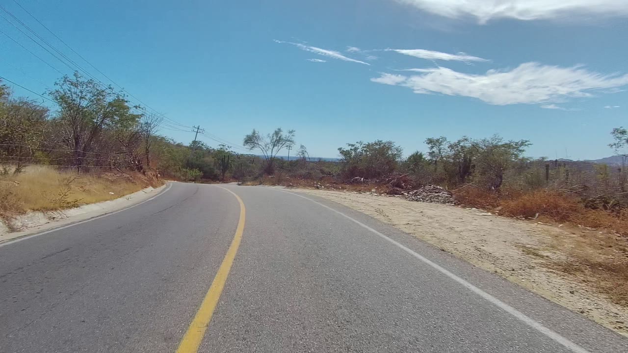 The East Cape Los Cabos road bends left with the yellow center line leading toward low scrub, roadside trees, overhead wires, and no visible people.