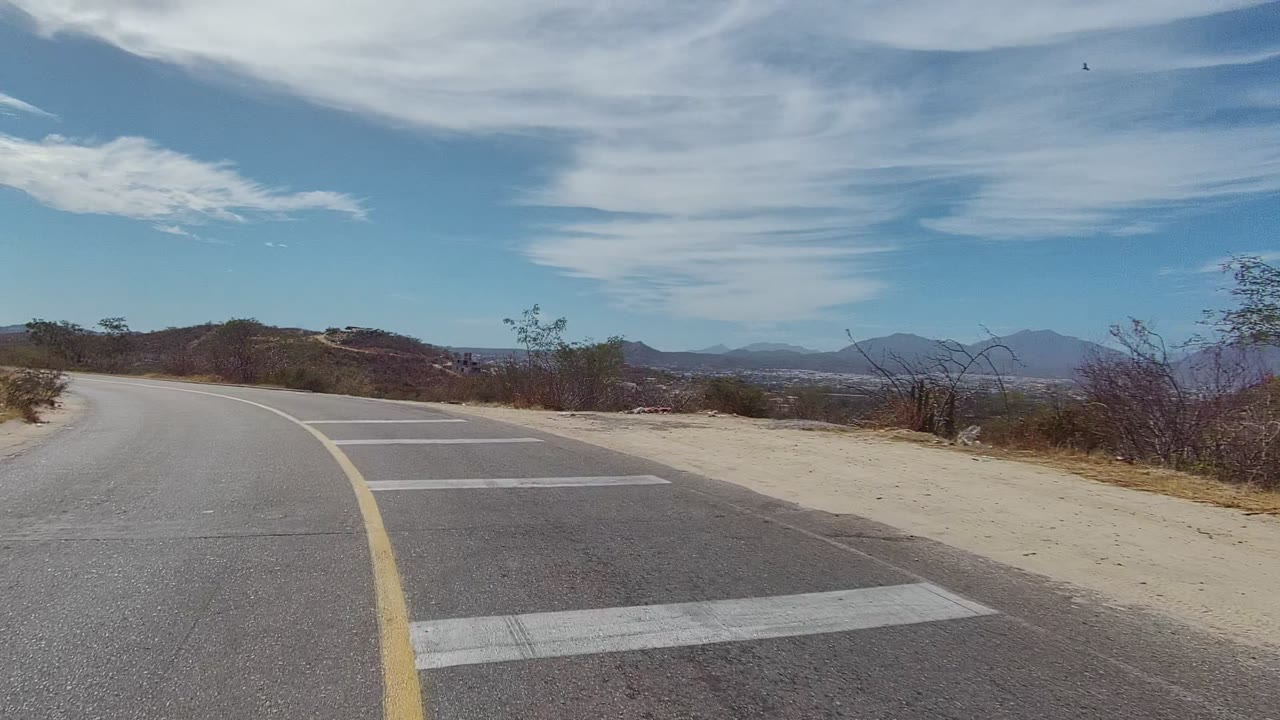 Road bend with painted cross markings and brushy hillside