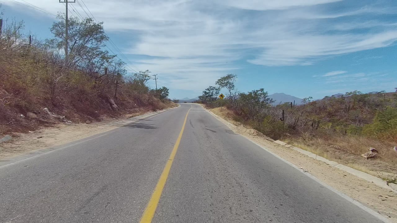 Two-lane road curving through dry roadside vegetation