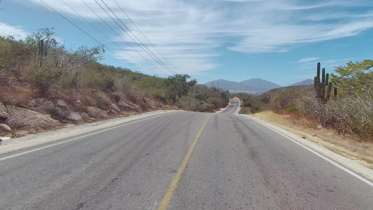 The paved road curves through East Cape Los Cabos desert terrain with tall cacti on the right, dense scrub on both sides, mountains in the distance, and no visible people.