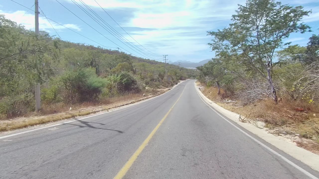 Empty asphalt road bordered by dry vegetation and roadside trees