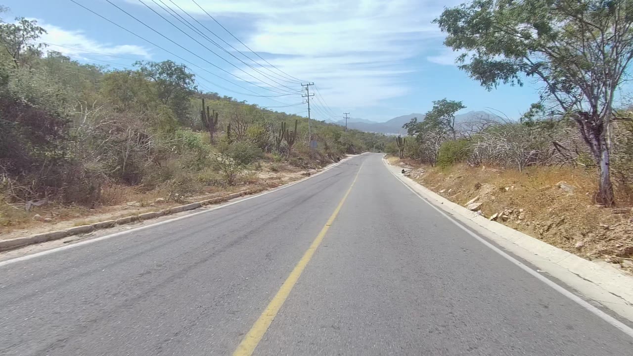 A straight stretch of East Cape Los Cabos asphalt passes cactus, scrub, trees, roadside rocks, utility poles, and faint hills beneath thin cloud cover, with no visible people.