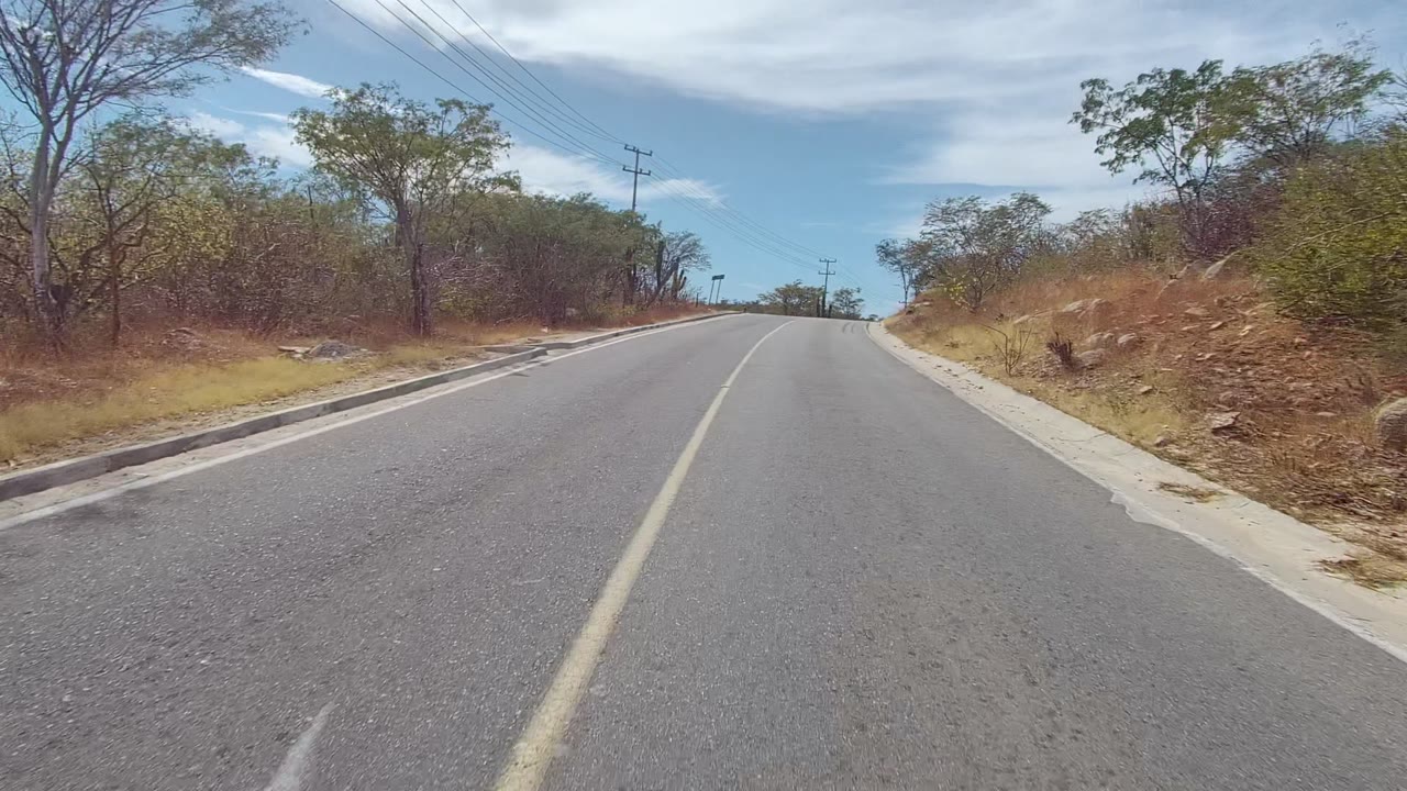 Road shoulder with brush, cactus, utility poles, and white clouds