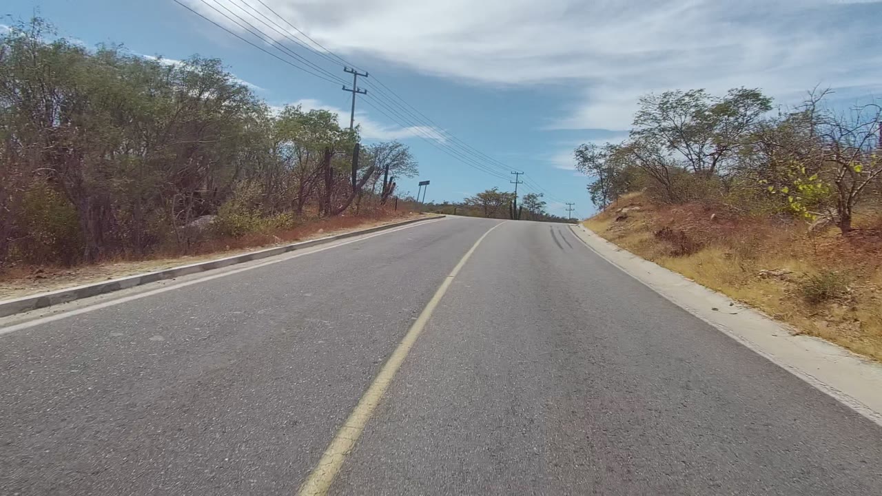 A paved road curves through East Cape Los Cabos, bordered by dry trees, scrub, a raised dirt bank, utility poles, power lines, and no visible people.