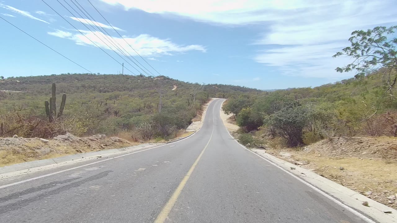 Empty asphalt road curving gently through scrub and cacti