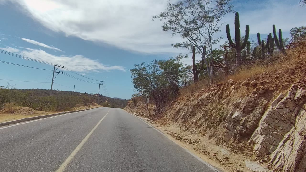 A two-lane road in East Cape Los Cabos passes a rocky dry slope topped with tall cacti and leafless trees, with power lines crossing the sky and no visible people.