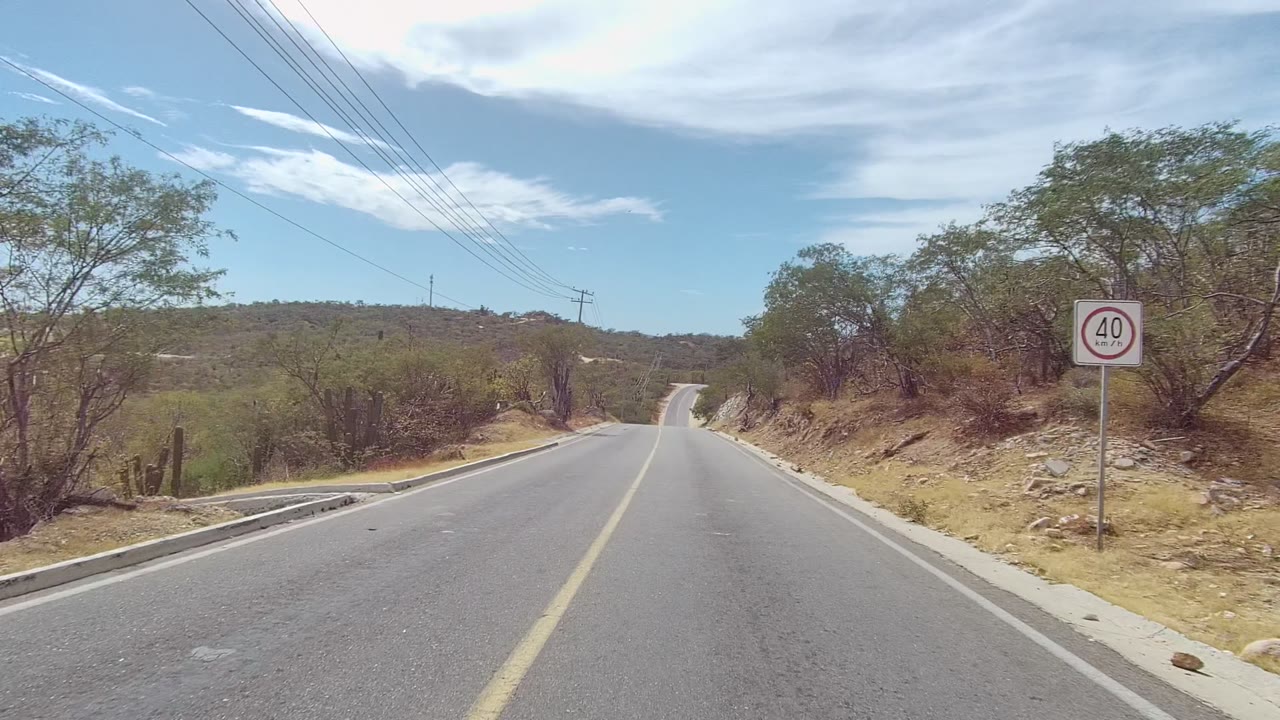 A 40 speed limit sign stands beside the East Cape Los Cabos road, with a rocky shoulder, scattered trees, cacti, low hills, and no visible people.