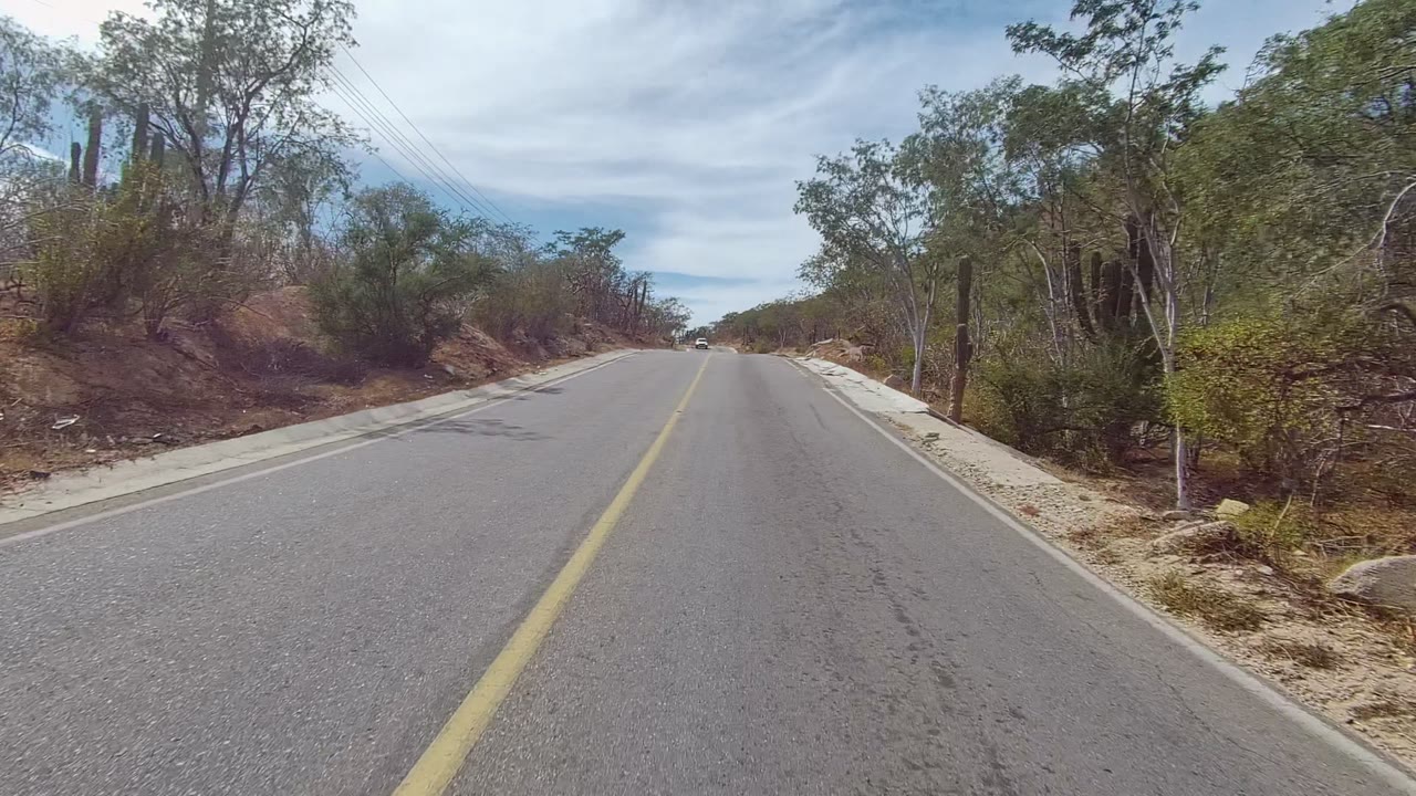 Paved road curving through sparse dry vegetation with utility lines overhead.