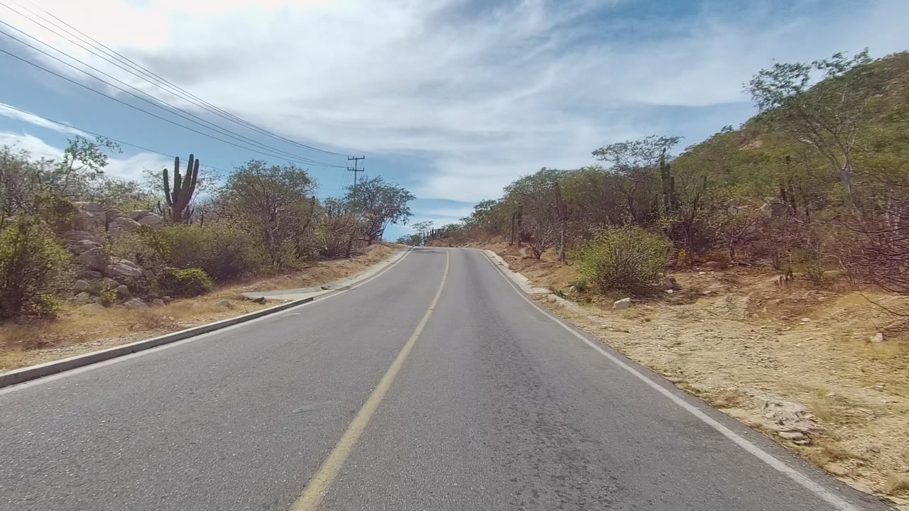 Arid road curving uphill with cactus, shrubs, utility lines, and hills.
