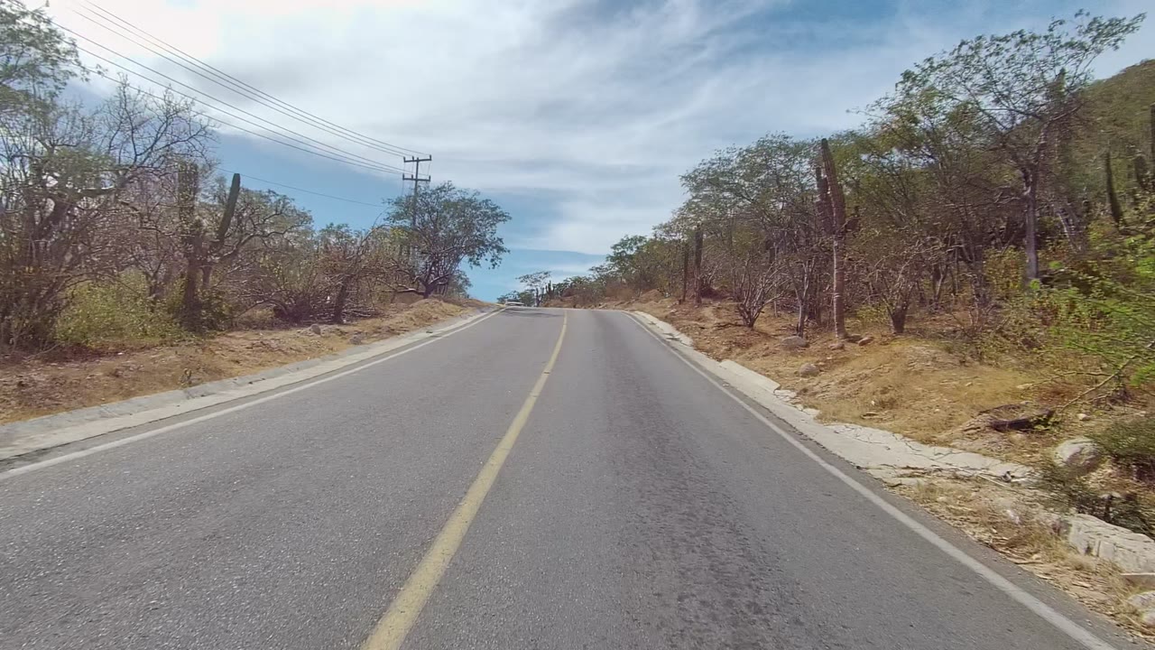 A forward road view in East Cape Los Cabos shows dry brush, several tall cactus forms, a sloped hillside, overhead wires, and a partly cloudy sky, with no visible people.