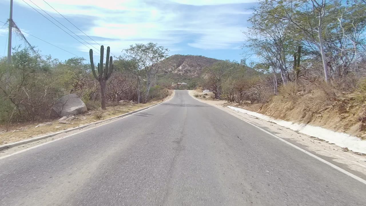 Paved road in East Cape Los Cabos, Baja California Sur, with a tall cactus on the left, dry roadside brush, a distant rocky hill, and no visible people.