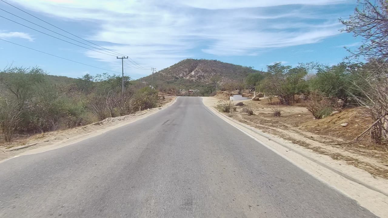 Straight paved road in East Cape Los Cabos with pale sandy shoulders, low dry vegetation, cactus forms at the roadside, a distant hill, and no visible people.