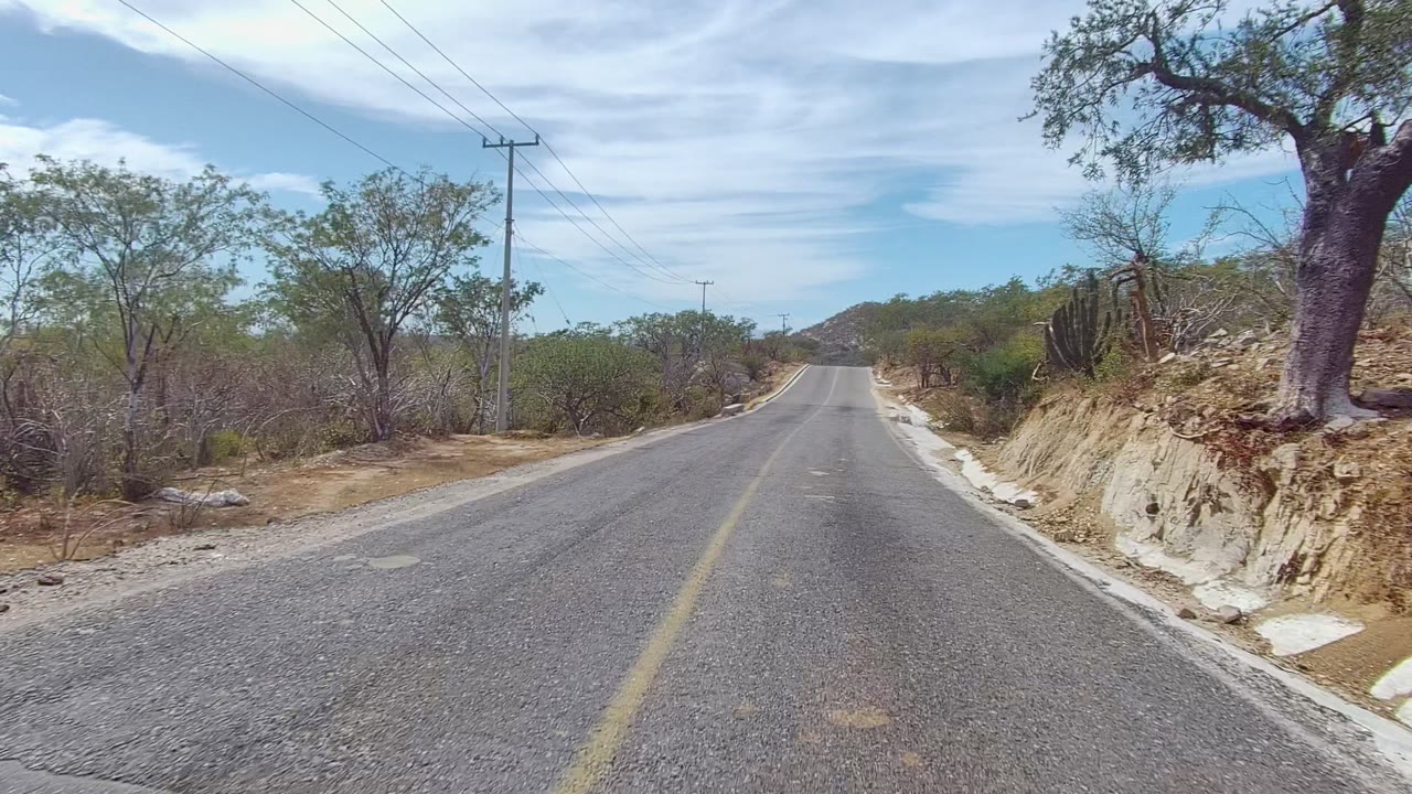 A centered view down a two-lane rural road in East Cape Los Cabos, Baja California Sur, with dry brush, a large roadside tree, power lines, partly cloudy sky, and no visible people.