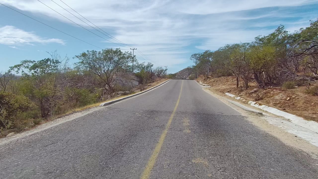 An empty East Cape Los Cabos road runs between dry roadside brush and scattered trees, with a yellow lane stripe, pale curb, utility lines crossing the sky, and no visible people.