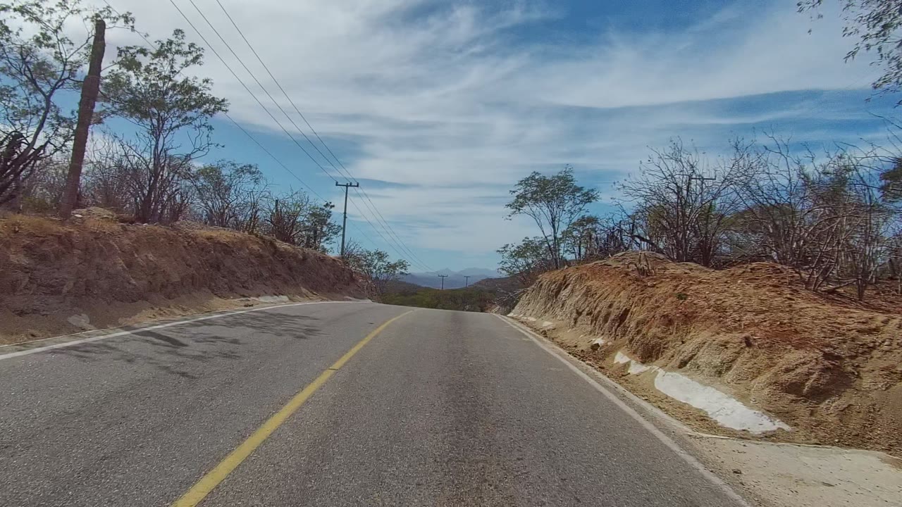 Rural paved road beside a cut dirt bank and dry trees.