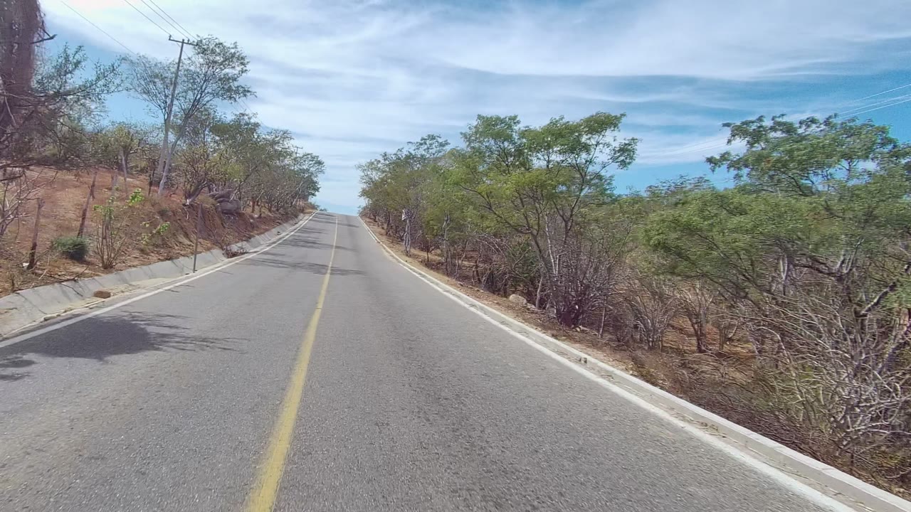 Roadside trees and dry slope beside a paved road
