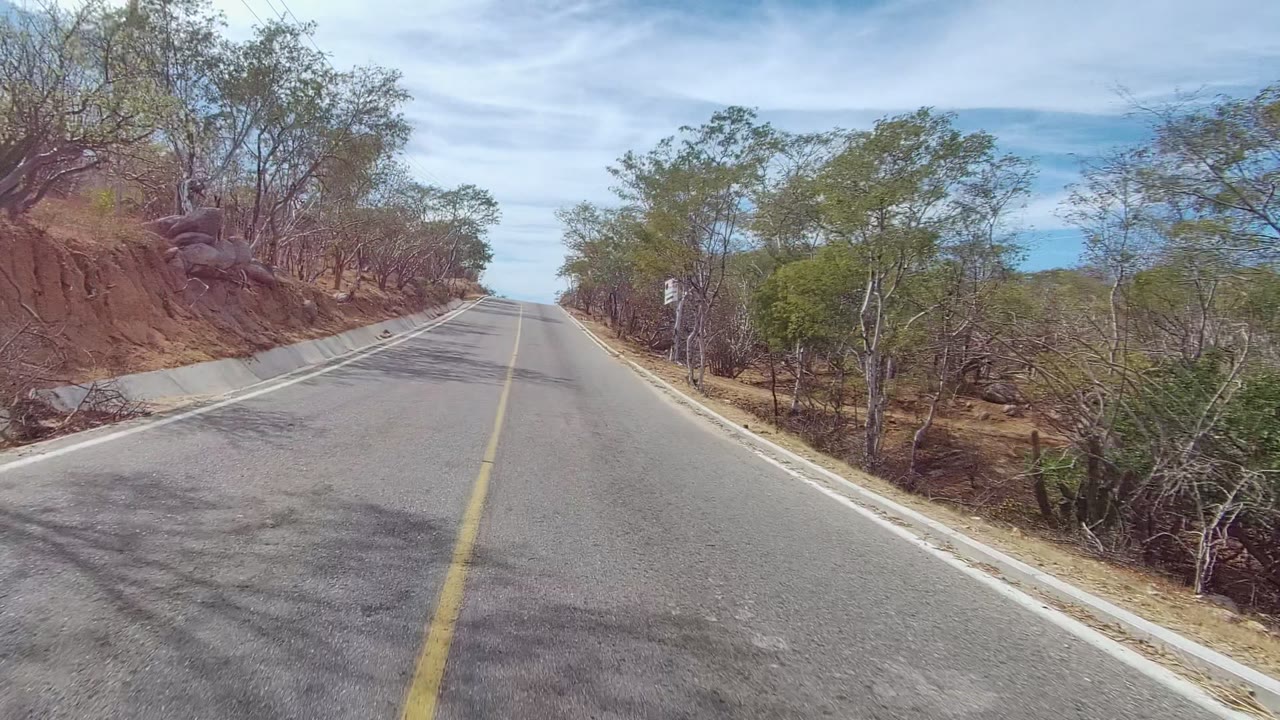 Empty asphalt road in East Cape Los Cabos running past dry earth, scattered trees, low bushes, roadside curbs, and a partly cloudy sky, with no visible people.