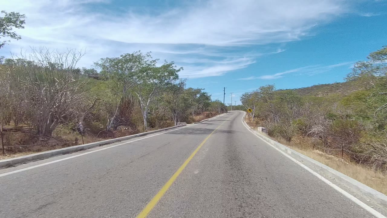 Empty rural road curving through dry brush and trees.