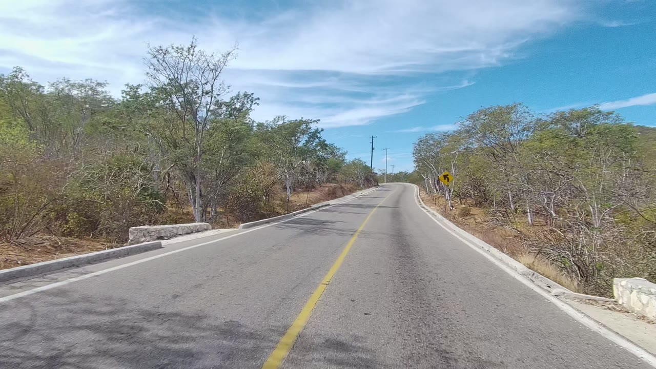 A winding rural road in East Cape Los Cabos passes a yellow curve warning sign, with dry brush, scattered trees, low stone edging, utility poles, and no visible people.