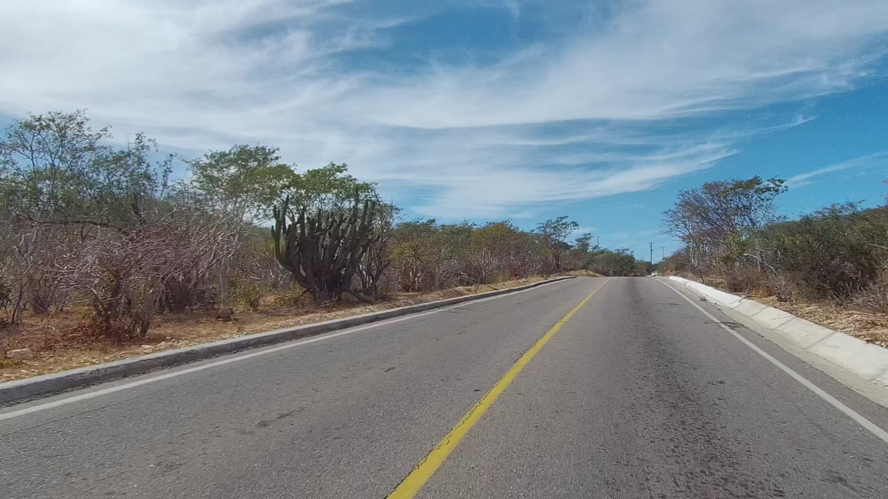 Roadway curving slightly ahead between dry bushes and trees