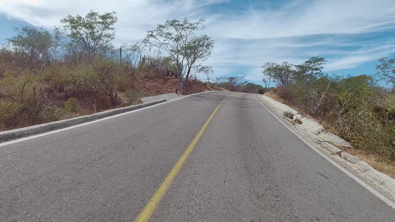 An empty paved road in East Cape Los Cabos bends slightly right past dry shrubs, small trees, roadside curbing, and bright cloud-streaked sky, with no visible people.