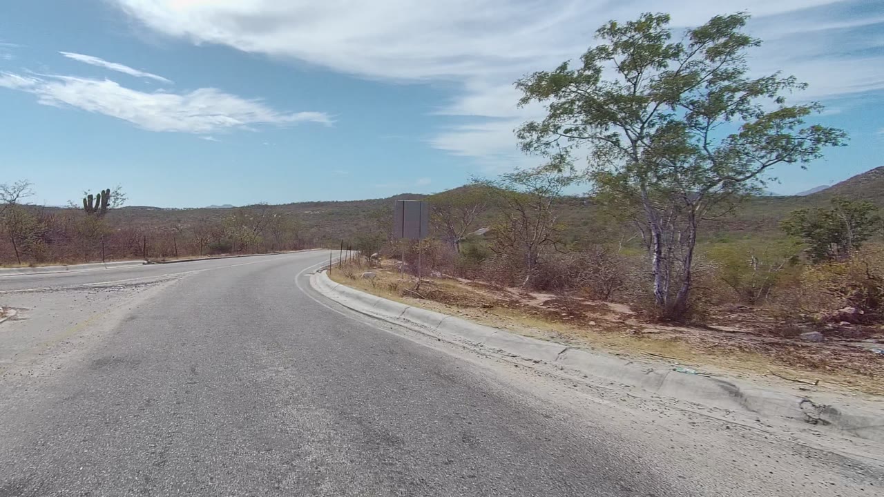A paved road curves through East Cape Los Cabos, Baja California Sur, with dry brush, small trees, cacti, low hills, and no visible people.