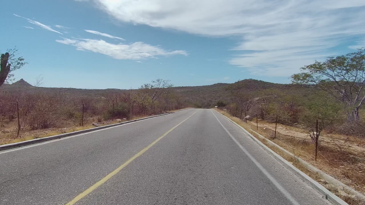 A straight paved road runs past the backs of roadside signs, dry grass, sparse trees, cacti, low hills, and no visible people in East Cape Los Cabos.
