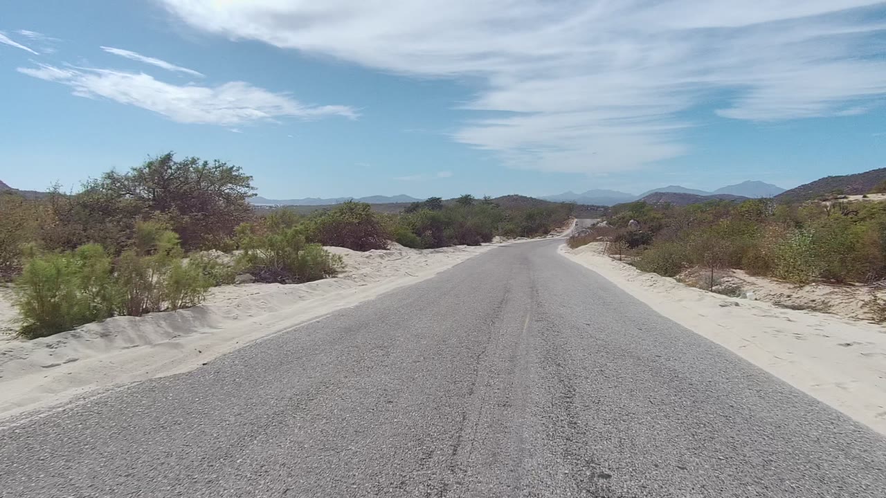 Empty paved road bordered by sand and desert shrubs.