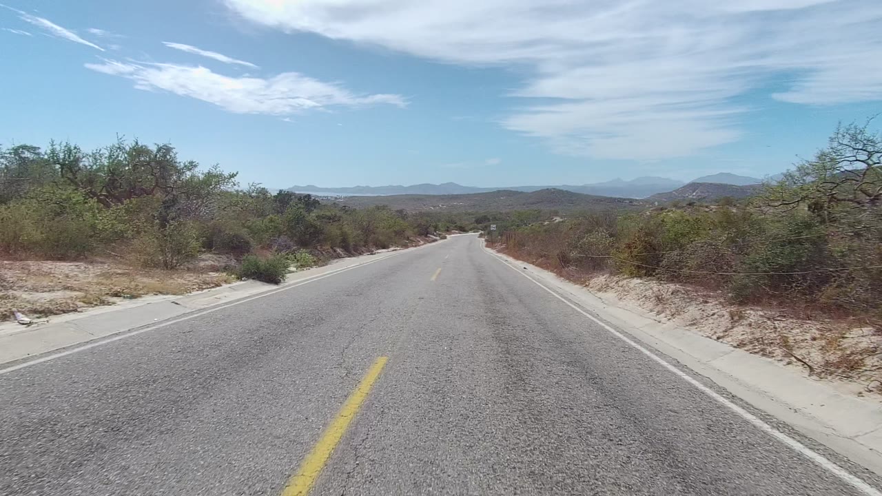 Empty paved road lined by bushes and roadside fencing