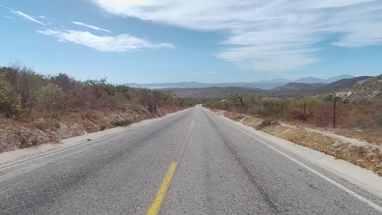Empty road centered between dry roadside vegetation