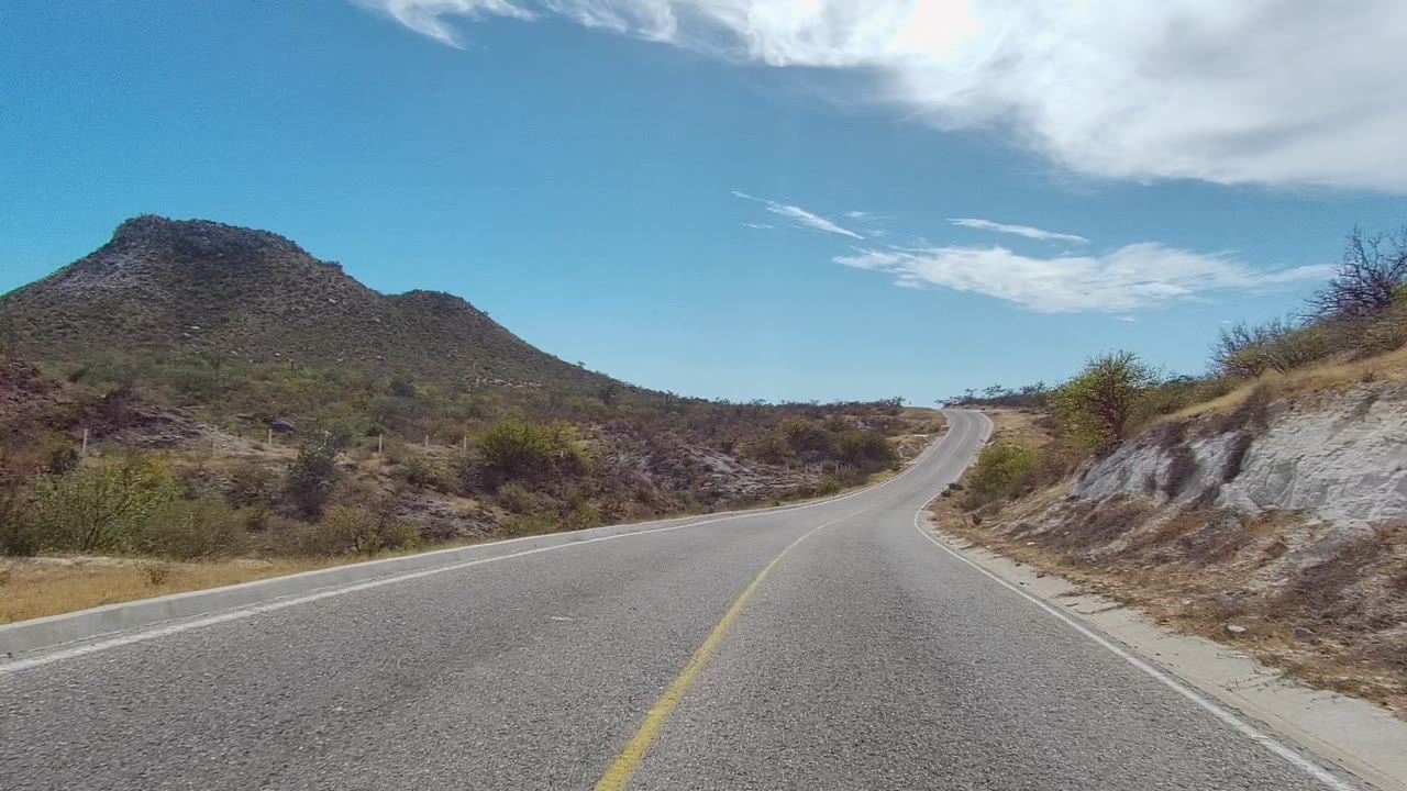 Asphalt road curving past rocky roadside brush