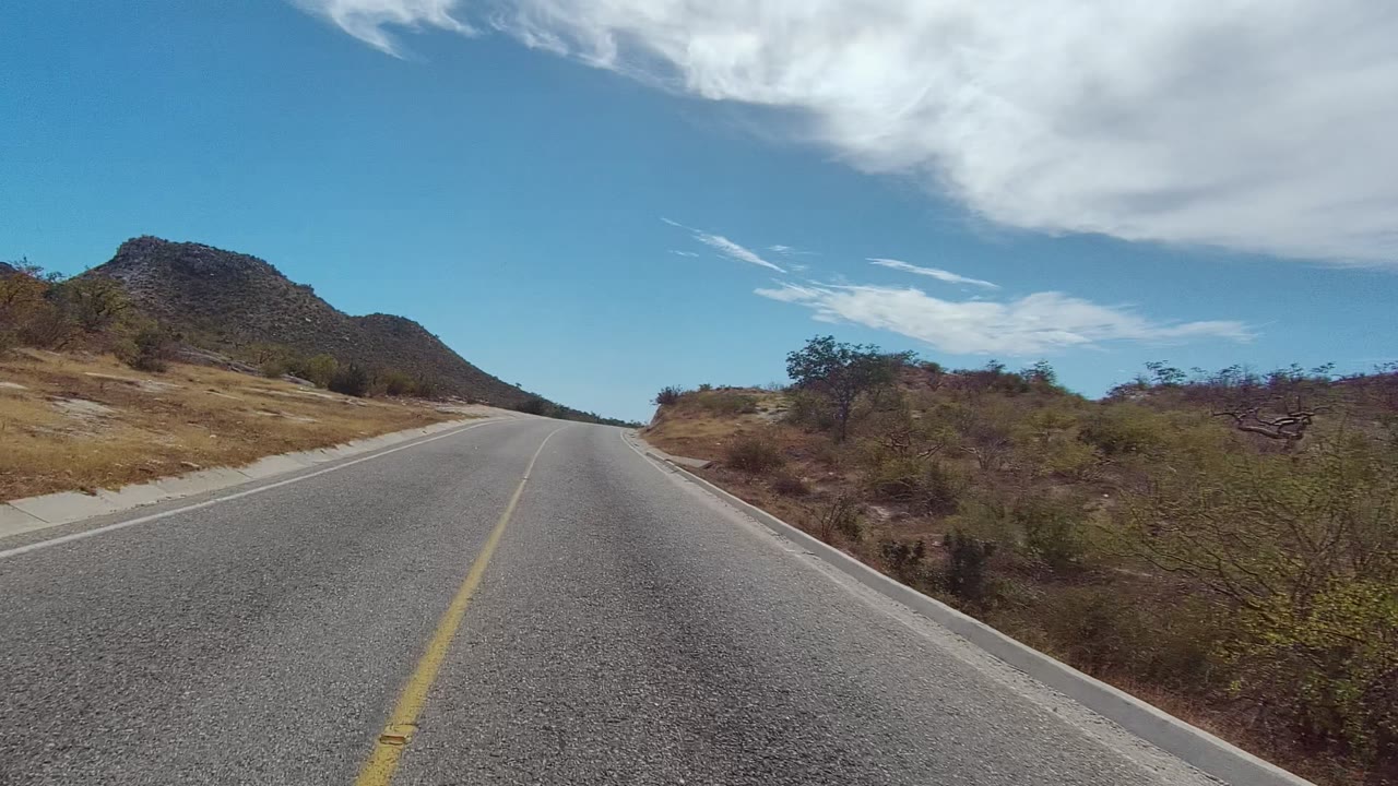 Road curving gently through arid roadside vegetation