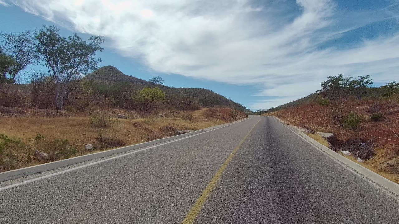 Road shoulder and dry hillside with trees under streaked white clouds