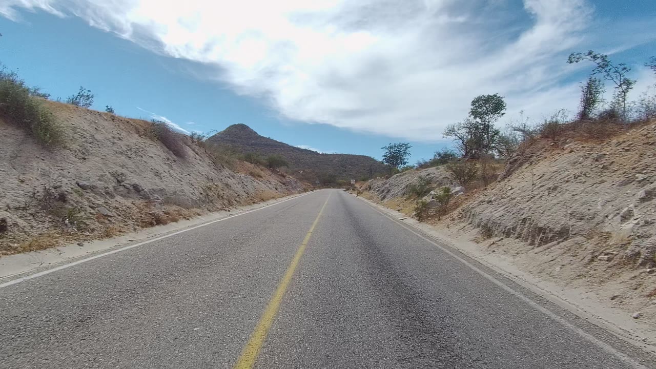 Road shoulder beside a pale dirt bank and sparse roadside bushes.