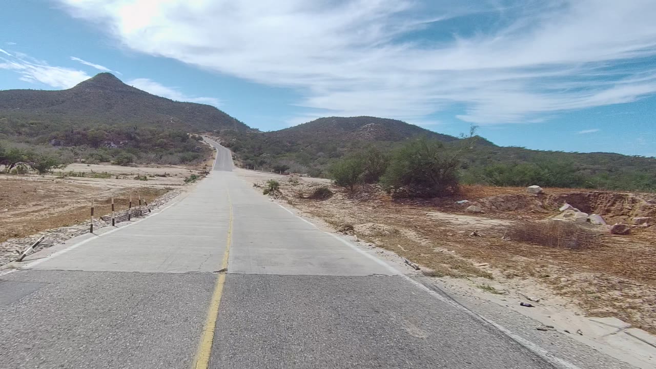 Roadway approaching a concrete section through sandy scrubland.