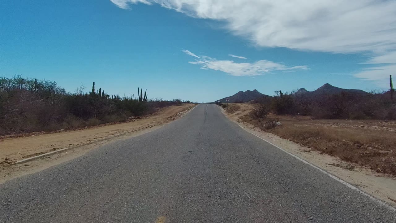 Straight desert road bordered by scrub and cacti with mountains ahead