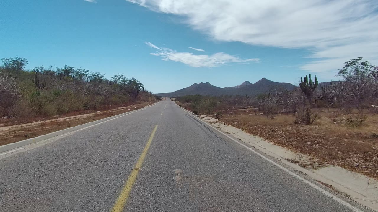 Road center line leading toward mountains with cactus at right