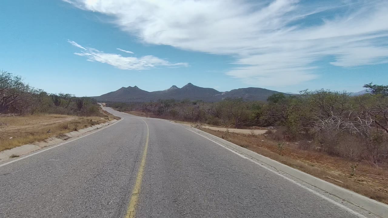Roadway bordered by dry bushes and open desert vegetation.