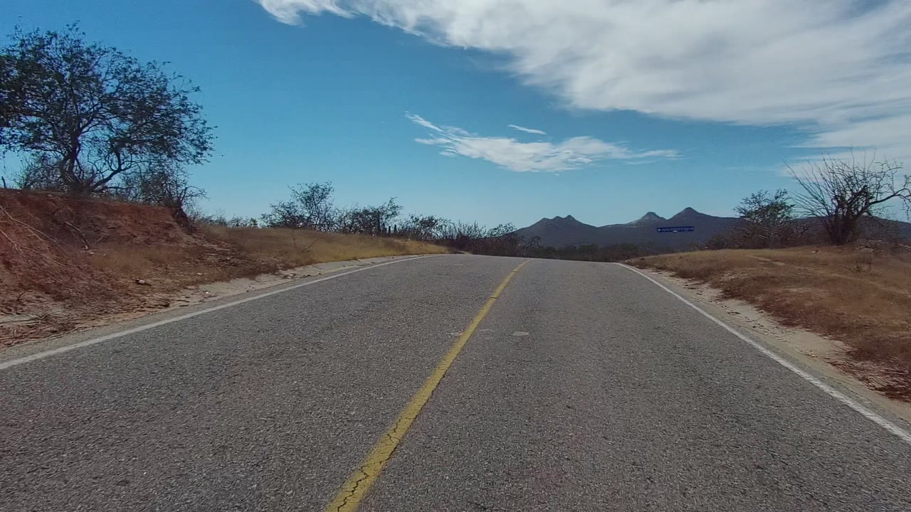 A forward road view in East Cape Los Cabos shows gray asphalt, a yellow line, dry brush, a lone tree on the right bank, distant mountains, and no visible people.