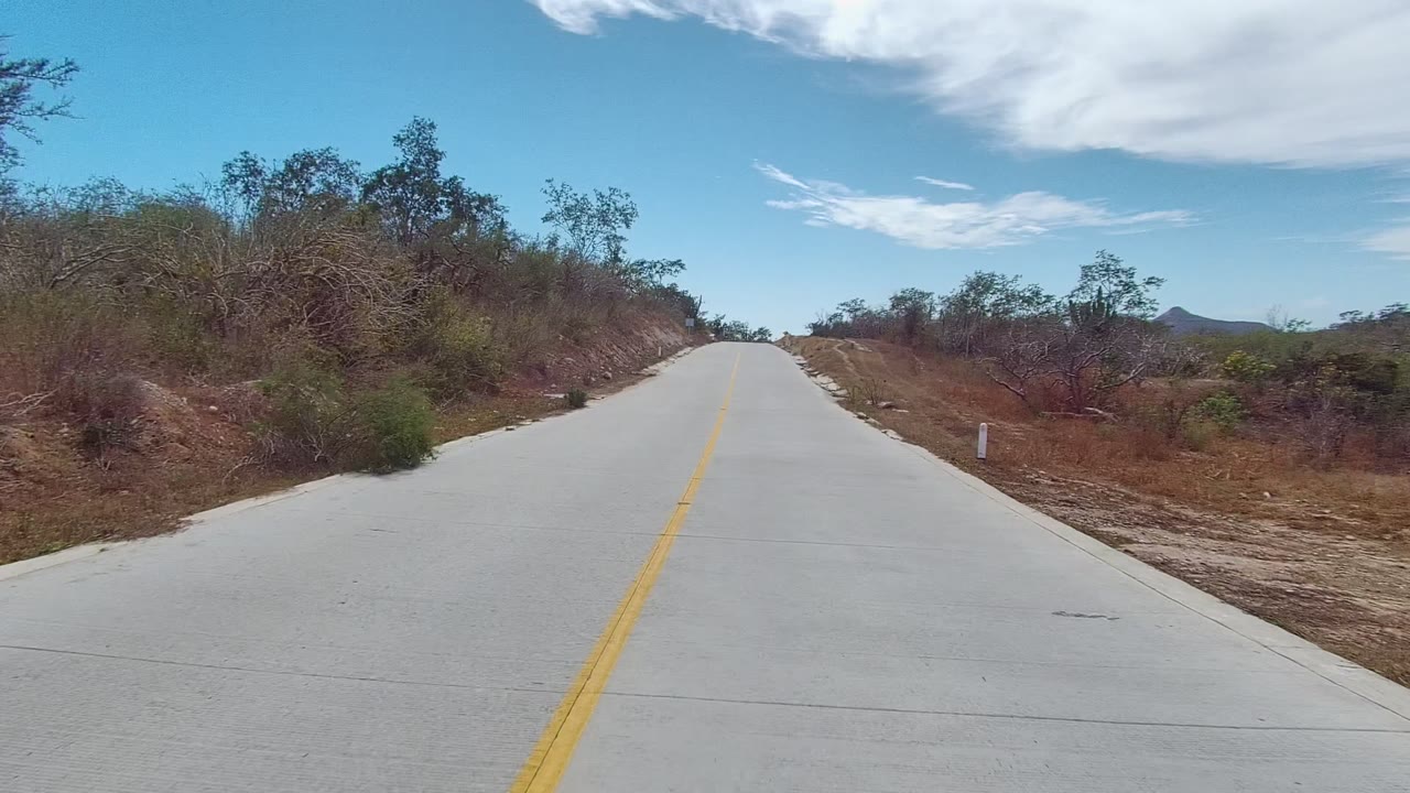 A paved road in East Cape Los Cabos, Baja California Sur runs uphill between dry brush and scattered trees, with no visible people.