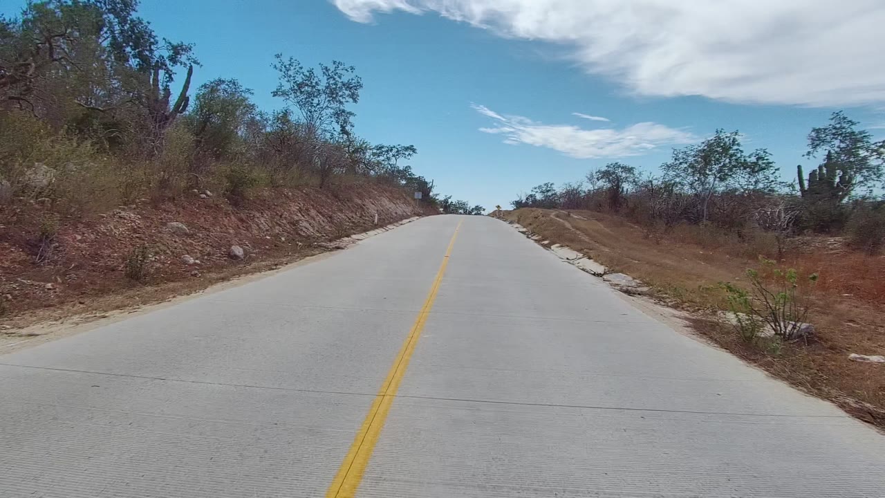 Concrete road bordered by dry brush, trees, and cactus under clouds.