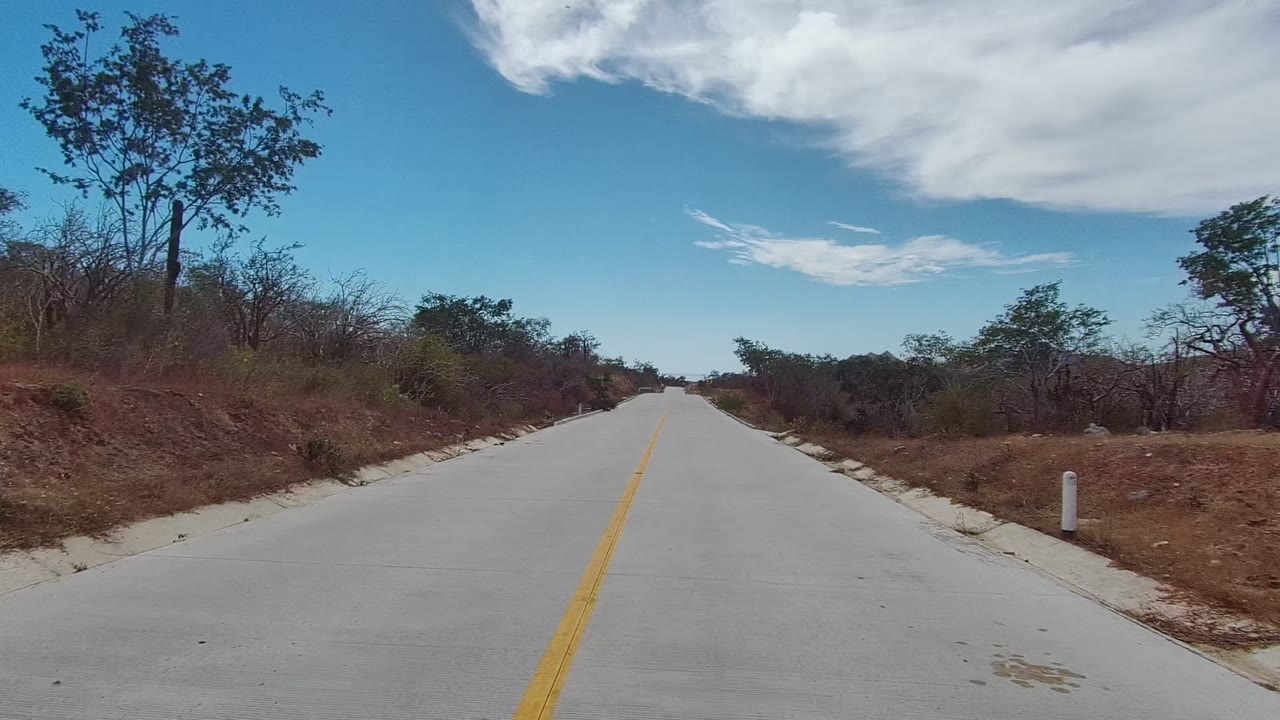 An empty paved road in East Cape Los Cabos stretches ahead past brown roadside soil, scrubby trees, low brush, white road markers, and a clear blue sky, with no visible people.