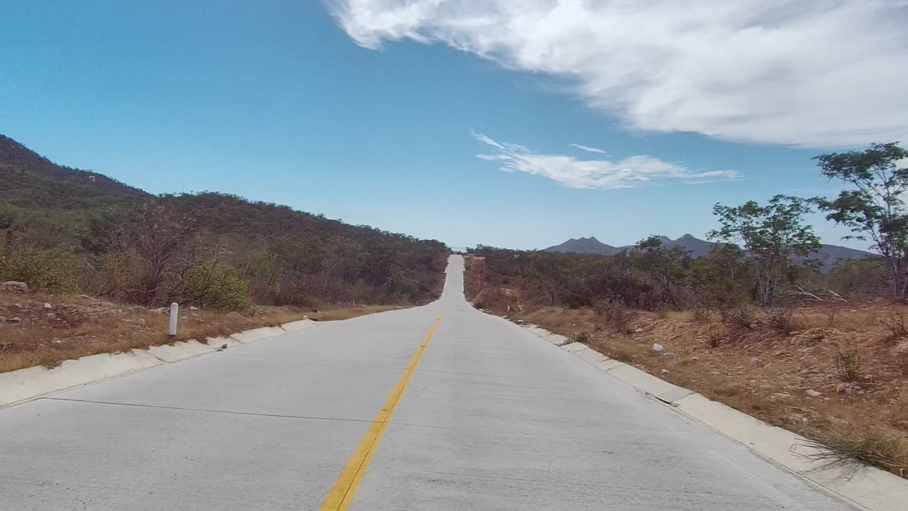 Road curving through dry roadside vegetation
